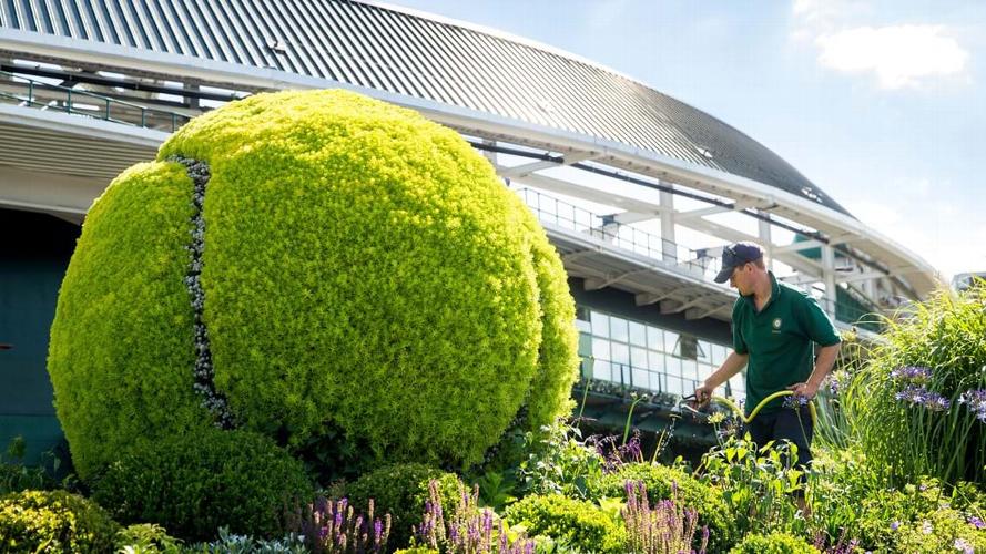 Wimbledon Tennis Break Enjoy all the action on this three day tennis break, with hotel & transfers included in the price