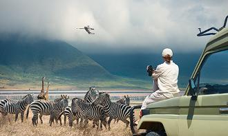 Safari packages, Online Travel Agent. Watching wild African animals at a watering hole.